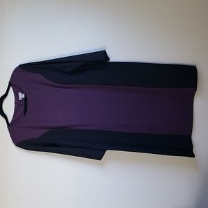NWOT Chico's Size 3 Color Blocked Dress